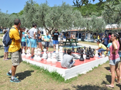CHESS-BOARD GAMES